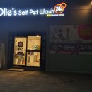 올리스 아시아드점 이미지