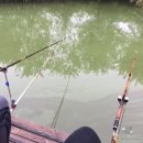 대흥마트 이미지