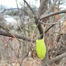 여강길(10코스 천년도자길) 이미지