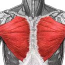 고짐(GO GYM) 다사 대실역점 이미지