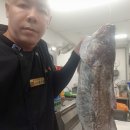참치연구소 이미지