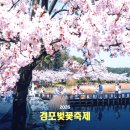중앙시장(벚꽃상가방면) | 강릉 경포벚꽃축제 개화시기&amp;주차 꿀팁, 현지인이 알려주는 야간명소와 맛집 총정리