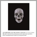 한미사이언스(주) | 데이미언 데미안 허스트 전시 국립현대미술관 서울 전시회 전시정보