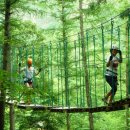 고산자연휴양림 이미지