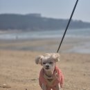 왕산가족오토캠핑장 이미지