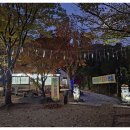 술이~술술 네이버블로그