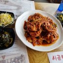 시골애 이미지