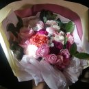 별찌살롱 | 단발 바디펌, 강릉 오월에 초당, 미니크플래닛, 다미가, 돌박사 등등.