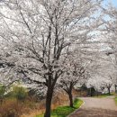 노작공원(오산천변) 이미지