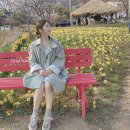 서부면 당곡마을회관 | 홍성 여행 한우 갈비탕 쭈꾸미 샤브샤브 거북이마을