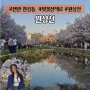 쌍용스토아 - 천안시 동남구 용곡2길 43-10 | 천안 원성동 벚꽃 산책로 "원성천" 총정리 및 주차 벚꽃 인생샷 찍는법 여자친구 벚꽃사진 찍어주는법