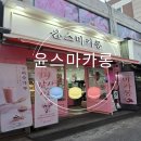 윤스마카롱 이미지