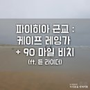 라라CaPe | [몽몽부부세계여행] 뉴질랜드 파이히아 근교 : 케이프 레잉가, 90 마일 비치 듄 라이더 투어