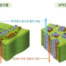 오미원 이미지