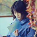 포레스트 이미지