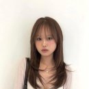 혜성패키지 이미지