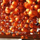 씨없는곶감마을 이미지