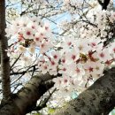 울산송정제일풍경채 네이버블로그