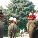 왕실농장 이미지