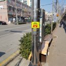 화순읍 청전 아파트앞 이미지
