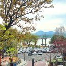 화원동산 | 2026 화원유원지 겹벚꽃, 지금 가야 하는 이유는?