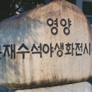 영양군 분재대전을 참관하고 이미지