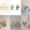 김포한강1로-L | 지따플라워] ✿ܓ 다가오는 빼빼로데이에 선물하기 좋은 감성적인 꽃집, 발레코어 거베라 꽃다발 포장후기🩰🎀