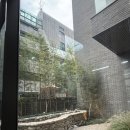 해치커피 | 교대역 감성카페 추천 서초 대형카페 카페 이로 해치의 신수림 후기