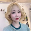 비파티 이미지