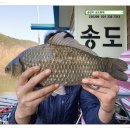 매일좌대 이미지