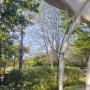 구석기체험숲1 이미지