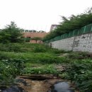 분당-394 이미지