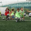 축구센터 풋살경기장 이미지