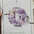 위자드오브오즈 이미지
