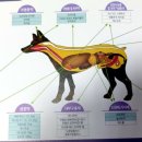 오포동물약국 이미지