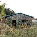 서홍동-1 이미지