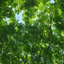 멍하니반하다 이미지