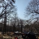 용인자연휴양림 | 용인자연휴양림 캠핑장 후기 제출