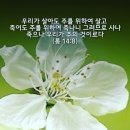 ➕ 전도서 6:1 - 6:12누리지 못하는 불행, 허무한 생명의 날들 이미지