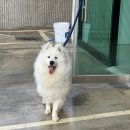 올라 아미고 펜션 이미지