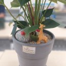 정산보건지소 이미지