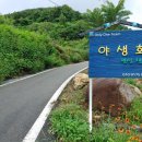 야생화 민박 네이버블로그