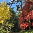 수희재한옥펜션 이미지