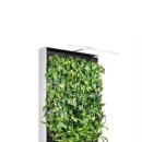 드래곤 파라다이스 짐 이미지