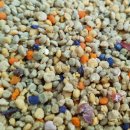 수노양봉원 이미지