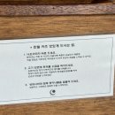 만월 | 청주 성안길 돈카츠 맛집 돈카츠 만월 솔직후기