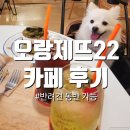 오랑제뜨22 | 연남 오랑제뜨22, 주황빛 예쁜 카페에 반려견과 다녀온 후기 (마포, 연남, 홍대)
