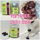 눈이부시개PET | [강아지 눈 영양제] 푸초밀 눈이부시개 급여 후기(기호성👍🏻)