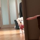 NR-22[중앙로]-상-246 | 12 月22日 - 23日 일상