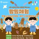 미소농장 | 서울농장 영월 1박2일 다녀온 후기 .. 예약 신청 프로그램